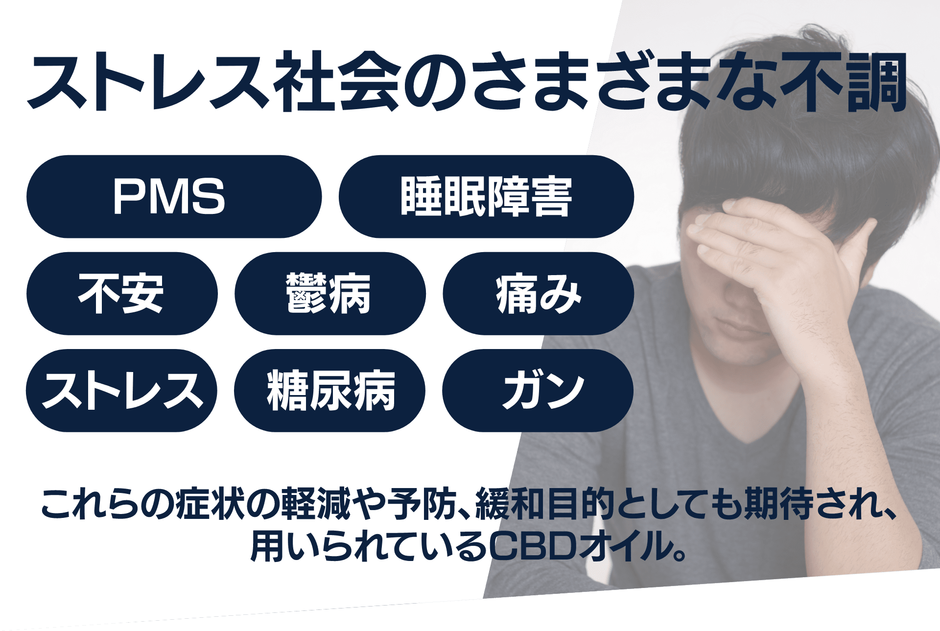 ストレス社会のさまざまな不調
PMS、睡眠障害、不安、鬱病、痛み、ストレス、糖尿病、ガン
これらの症状の軽減や予防、緩和目的としても期待され、用いられるCBDオイル。